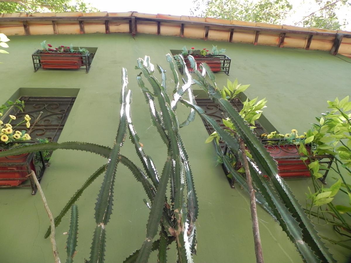 Pousada Eden - Conforto, Imersao E Natureza São Jorge Exterior foto